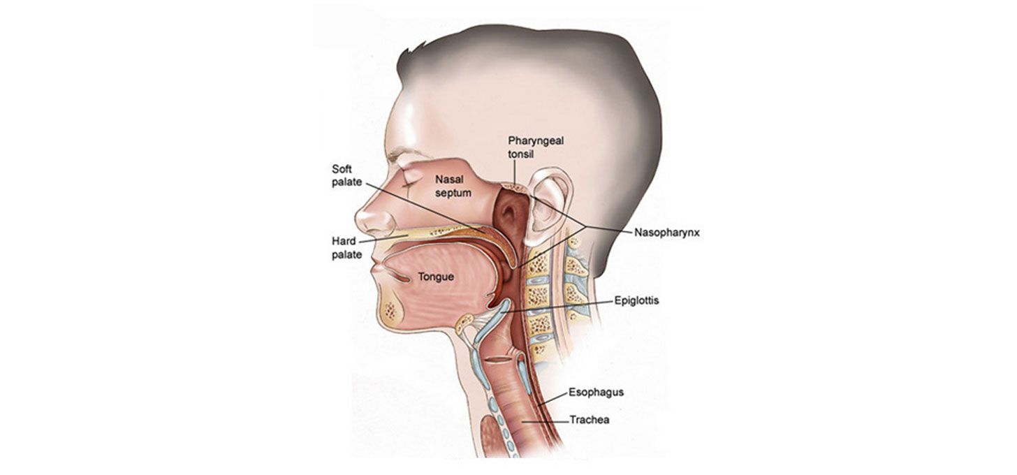 Head and neck surgery