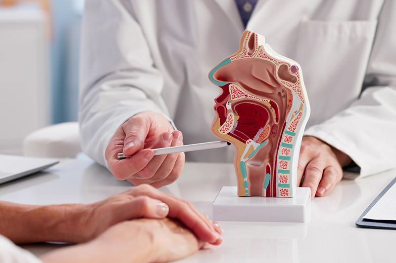 A doctor pointing at an anatomical diagram of a throat